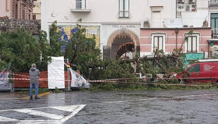 Paura ad Amalfi: vento sradica albero in piazza Flavio Gioia, nessun ferito