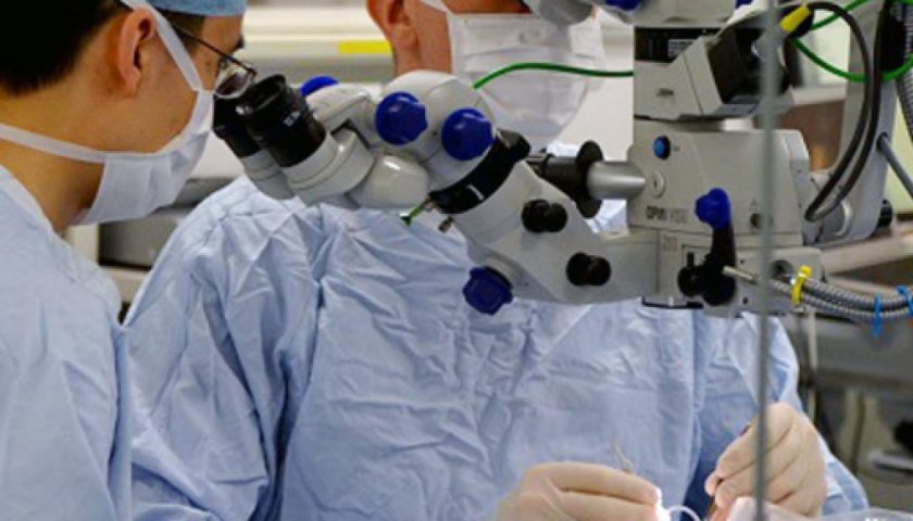 Gli anestesisti della Campania contro De Luca: “Offende il nostro lavoro quando attacca le terapie intensive”