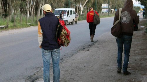 Decreto flussi, nel 2024 a Napoli e Roma tante domande ma quasi zero contratti di lavoro