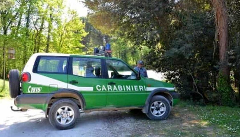 Parco Nazionale del Cilento, nel 2023 scoperti 100 abusi edilizi
