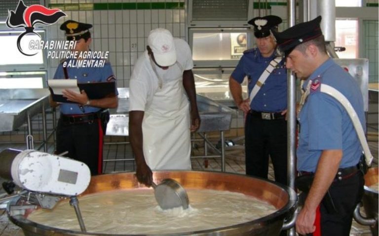 A Capaccio/Paestum i carabinieri sequestrano un caseificio “fantasma”