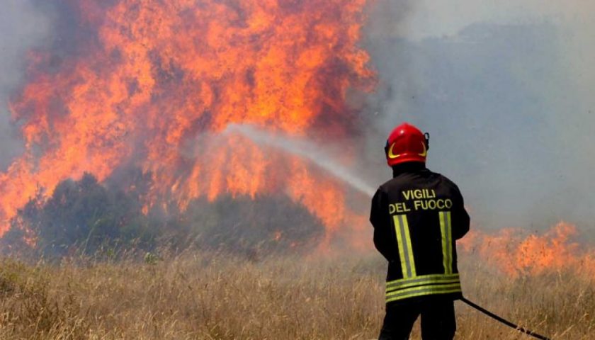 Fuoco nel fienile, strage di bovini a Sassano