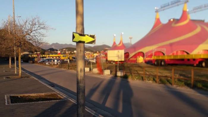 Manifesti per il circo, gli animalisti scrivono al sindaco di Salerno