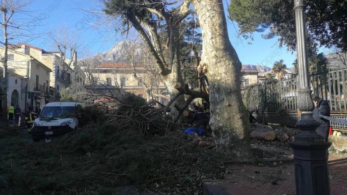 Albero caduto a Cava de’ Tirreni, la Procura mette sotto sequestro la Villa Comunale