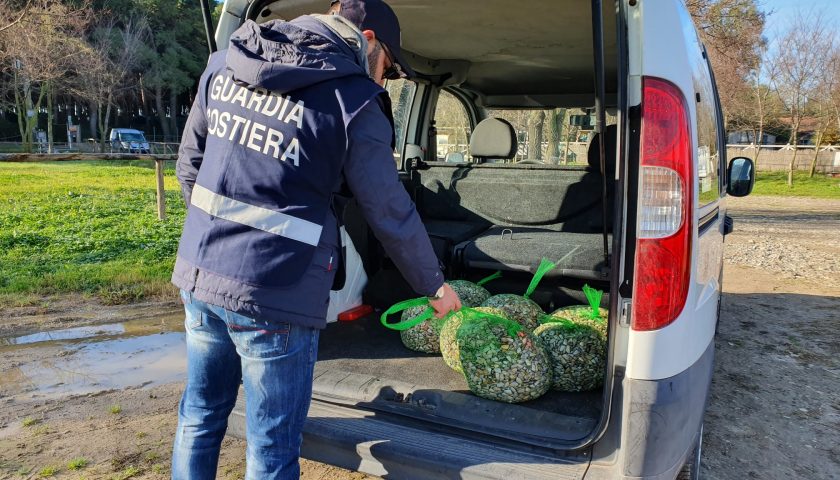 Contrasto alla pesca illegale, la Guardia Costiera sequestra attrezzi e pescato