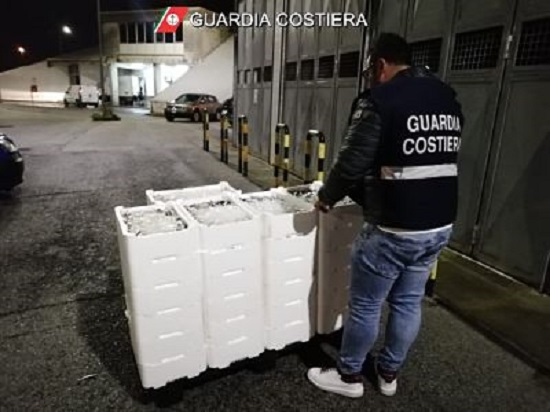 Blitz al mercato ittico di Salerno, sequestrata mezza tonnellata di pesce