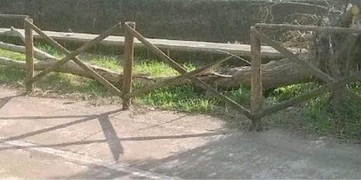 Mercato San Severino, ancora vandalizzata la pista ciclabile tra San Vincenzo e Curteri