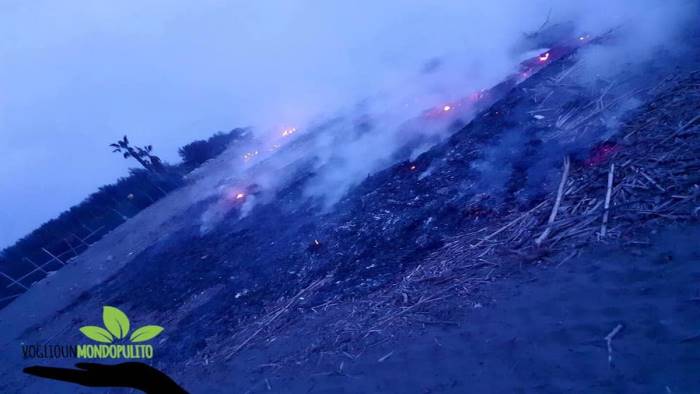 Fiamme in spiaggia, “Voglio un Mondo Pulito”: “Nemmeno una pandemia mondiale ferma l’ignoranza umana”