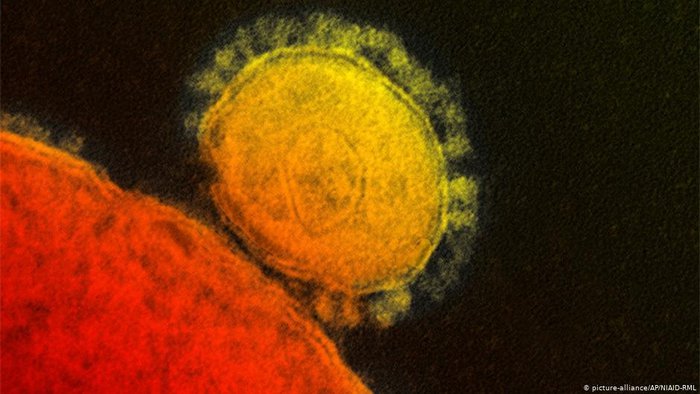 Coronavirus, trovata l’arma che ne blocca il “motore”