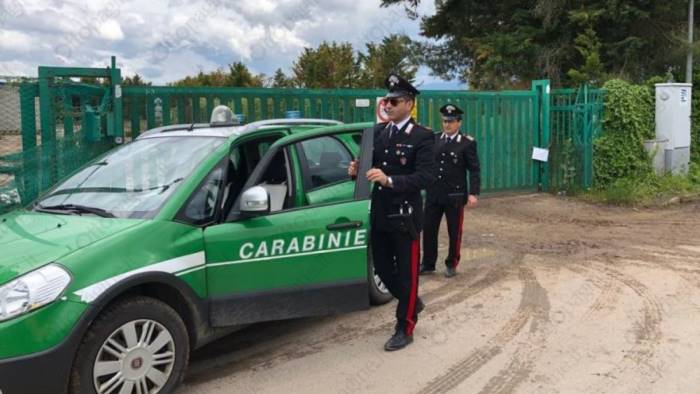 Sorprese a passeggiare nei boschi, denunciate 12 persone