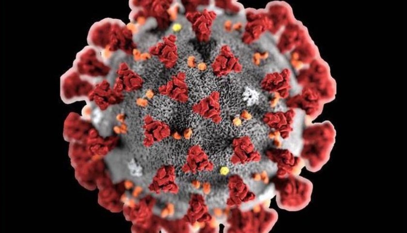 Coronavirus, riunione d’emergenza dell’Oms sulla pandemia