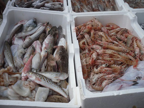 Palomonte, sequestro di oltre 60 chili di pesce privi di tracciabilità