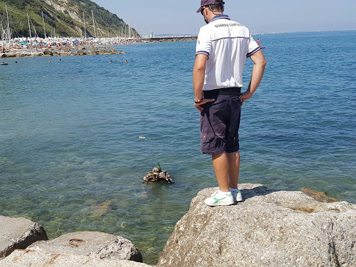 Fa pesca subacquea fuori orario, multa ad Amalfi per un professionista avellinese