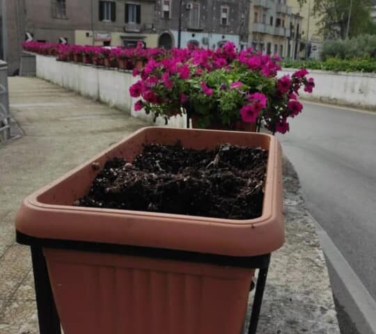 Rubano fiori ed acqua dalla fontana pubblica, dura presa di posizione del sindaco di Baronissi