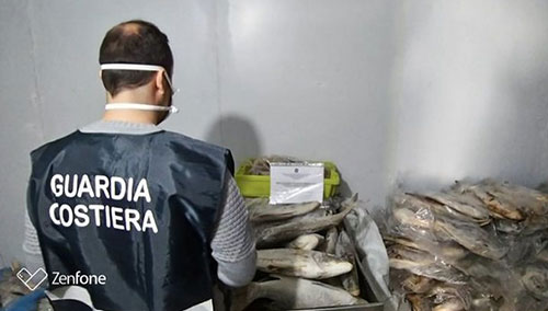 Salerno, multe e sequestri dopo i controlli natalizi alla filiera ittica