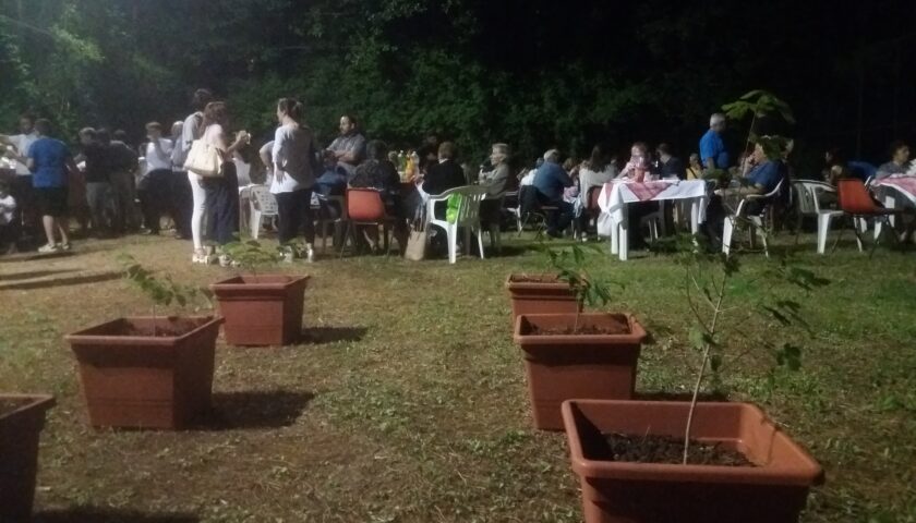 Furto di piante, vasi e di un’opera di scultura vegetale all’associazione Irno Trek di Fisciano