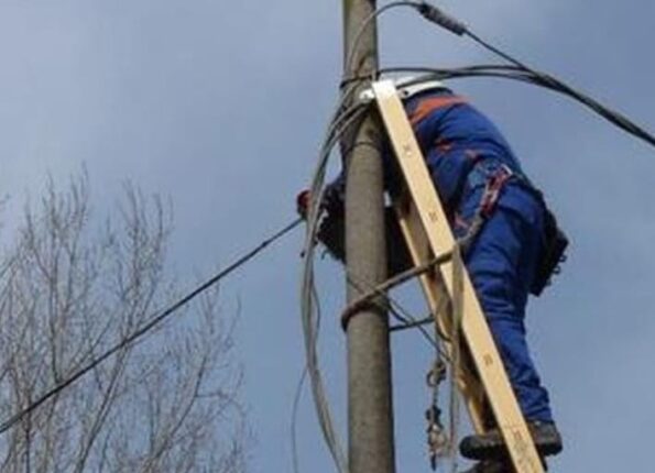 Albero rischia di recidire il cavo Enel, il sindaco di Pollica ringrazia ma la società punisce con la sospensione l’operaio che ha evitato disagi