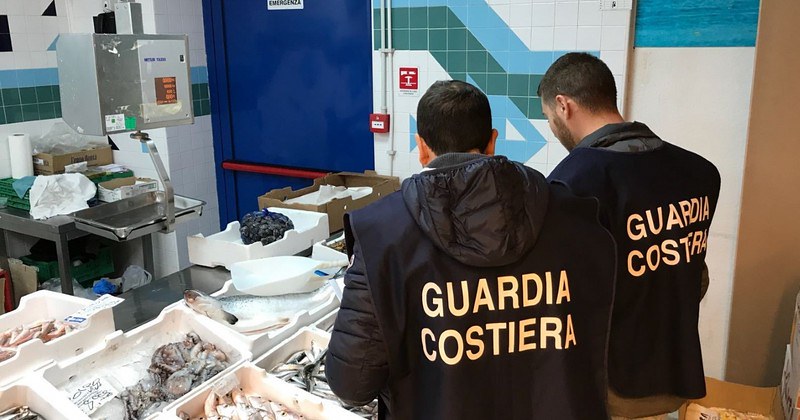 Pesca e commercio illegali. Sanzioni e sequestri tra Pisciotta, Santa Marina e Camerota e altre zone del Cilento