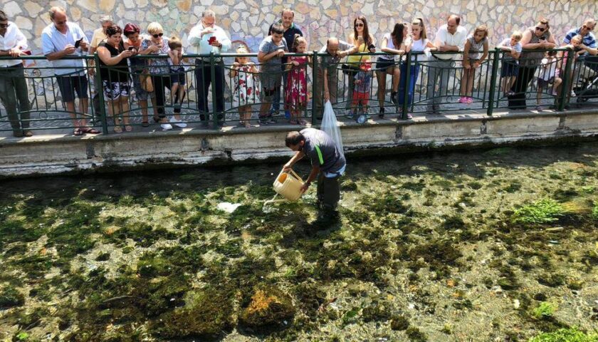 Sarno, tremila trote per ripopolare il fiume