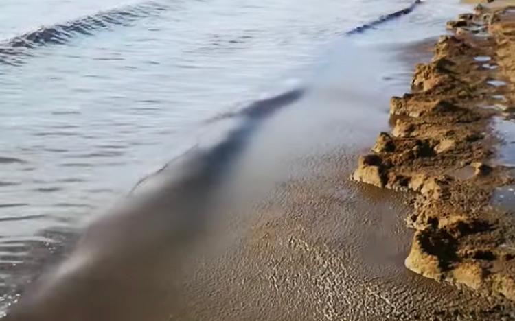 Ancora melma nera sulla spiaggia di Santa Teresa, foto inviate al Comune