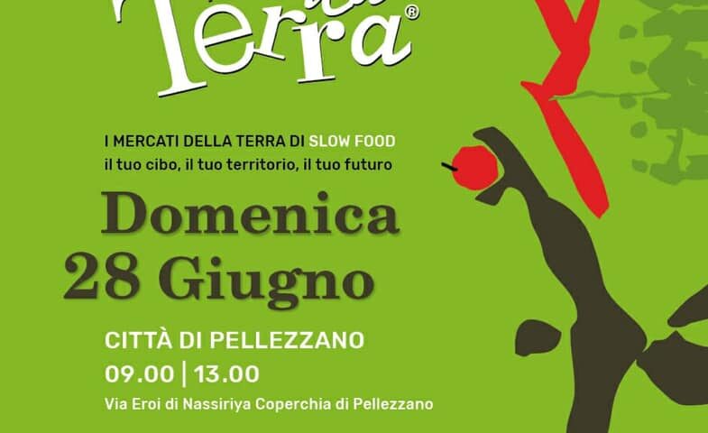 Pellezzano – domenica 28 giugno riparte l’iniziativa salutare “i Mercati della Terra”