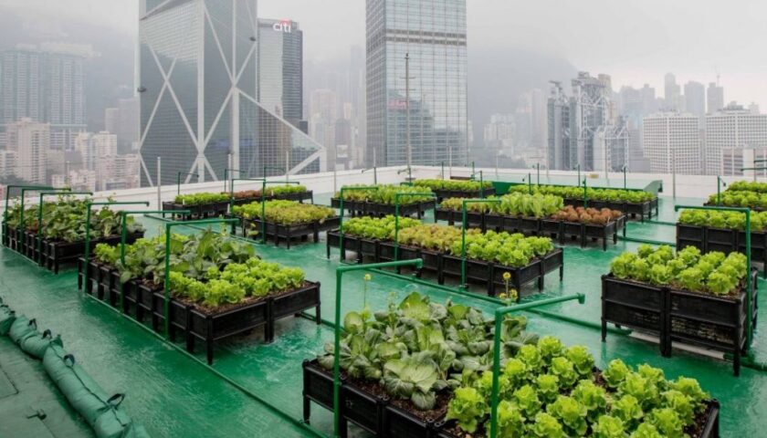 Urban Farming: il futuro bio delle città
