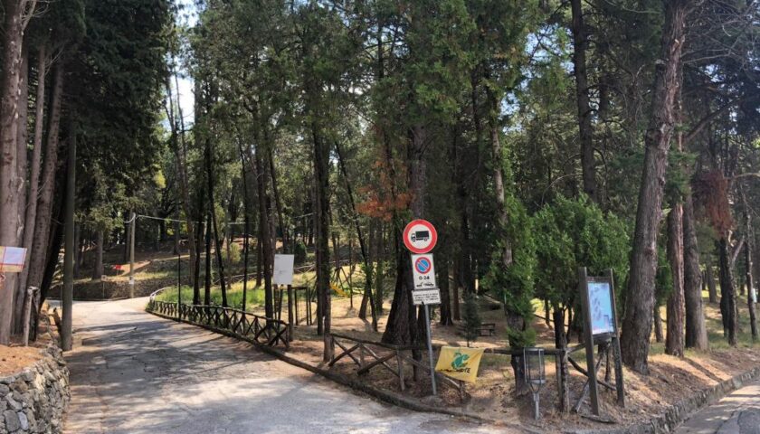 GIFFONI SEI CASALI, DAL GAL COLLINE SALERNITANE QUASI 100 MILA EURO PER IL RESTYLING  DEL PARCO PINETA S. ANNA