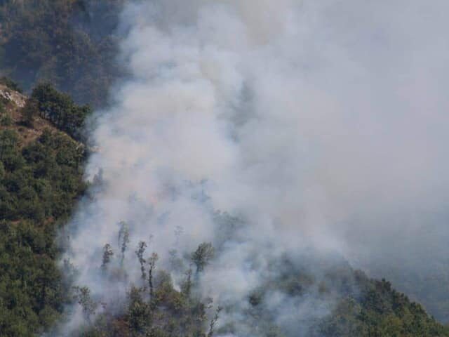 Incendio a Bracigliano, nei guai proprietario di un oliveto