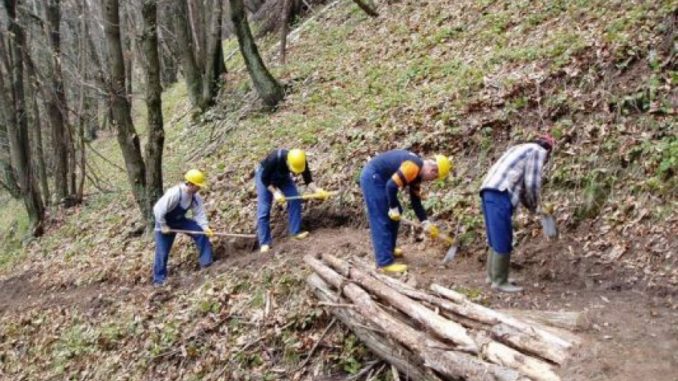 Forestazione, il monito dei sindacati: “Il lavoro viene prima di ogni cosa, basta precarietà perché lede la dignità di ogni essere umano”