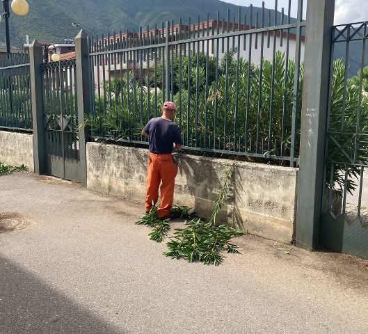 NOCERA SUPERIORE, SCUOLE: IL SINDACO CHIEDE AL MIUR MODULI AGGIUNTIVI PER CREARE NUOVE CLASSI