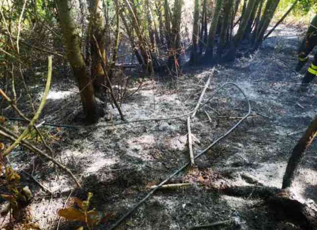 Salerno, domato a Giovi un principio di incendio