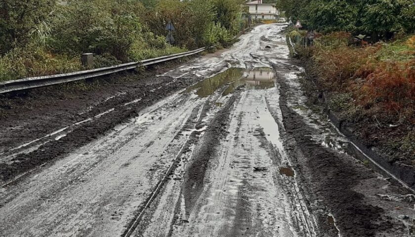 Gli interventi della Provincia per l’emergenza maltempo su tutta la rete viaria provinciale