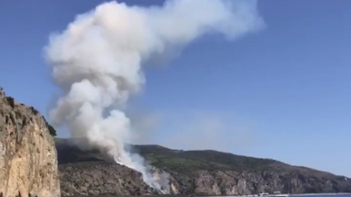 Incendio nella Pineta Sant’Icono: chiusa la strada tra Palinuro e Camerota