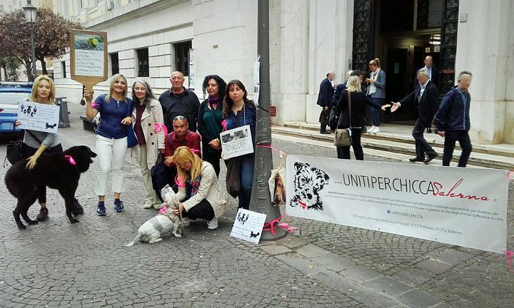 Uccise cagnolina a calci, mercoledì si torna in aula