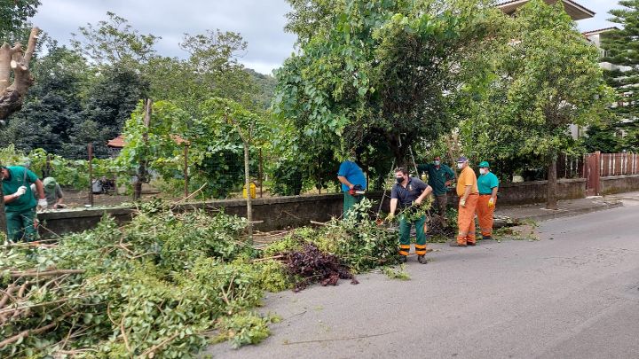 ROCCAPIEMONTE, INIZIATI I LAVORI DI POTATURA DEGLI ALBERI