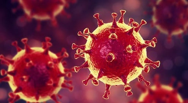 Immunità di gregge, gli esperti: “E’ sbagliato pensare che fermi il virus”