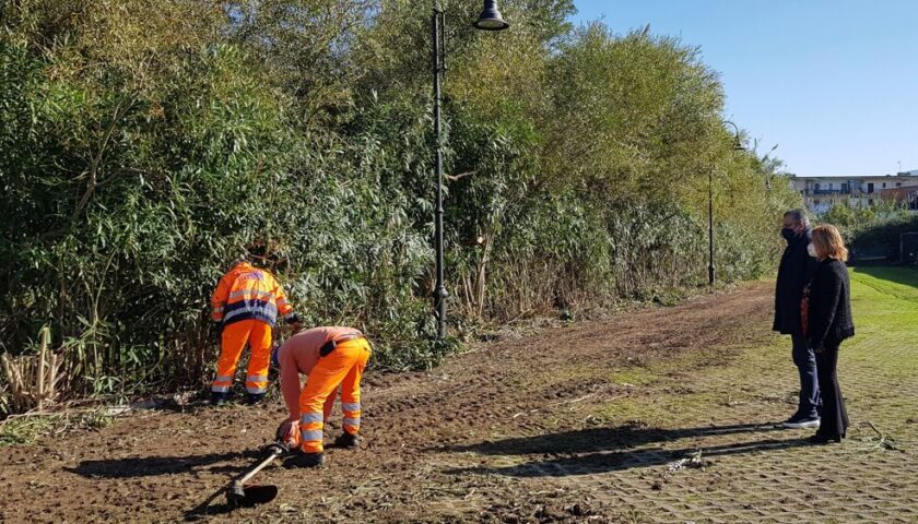 Ad Agropoli un’area per lo sgambamento dei cani