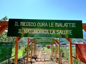 Naturopatia: l’appello di Dante De Rosa