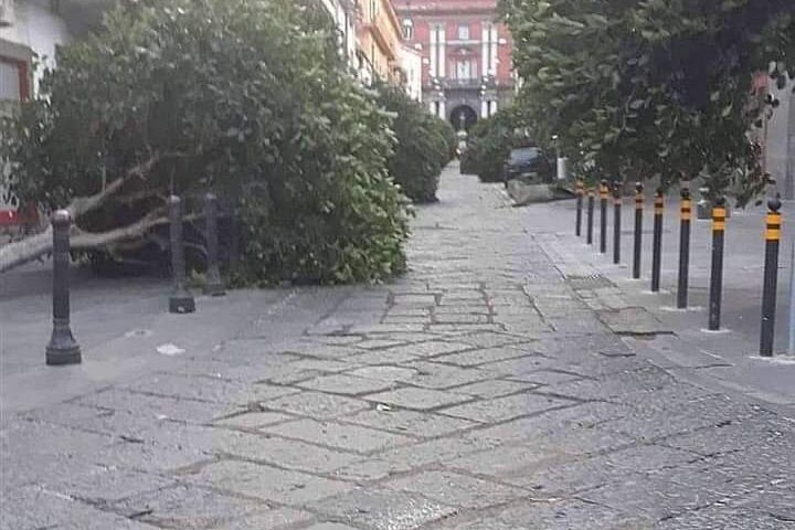 Sarno, il vento abbatte gli alberi in centro