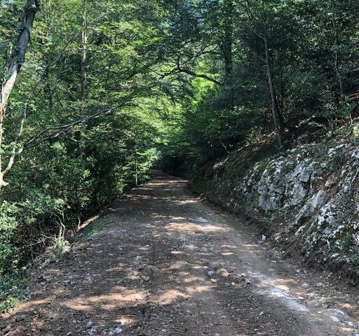 SISTEMAZIONE IDRAULICA “CASA PEZZOTTE” E MANUTENZIONE STRAORDINARIA STRADA VASSI – COCCHIATURE  A GIFFONI A VALLE PIANA