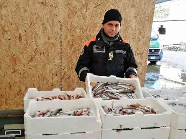 Frontiere tracciabili, la Guardia Costiera sequestra tonnellate di pesce