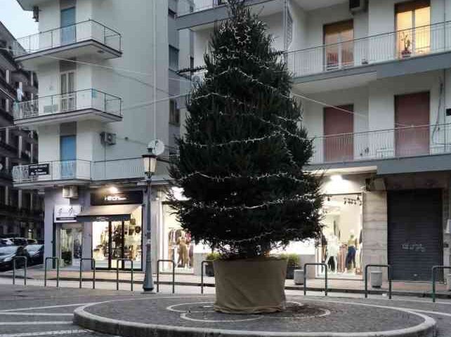 Salerno, ecco l’installazione di 12 alberi di Natale in sostituzione di “Luci d’Artista”