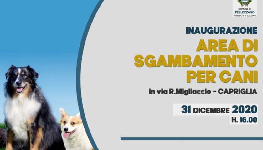 NASCE LA PRIMA “DOG AREA” NEL COMUNE DI PELLEZZANO