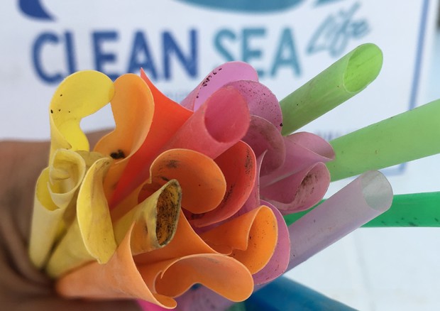 Clean Sea Life, in 4 anni rimosse 112 ton di rifiuti marini
