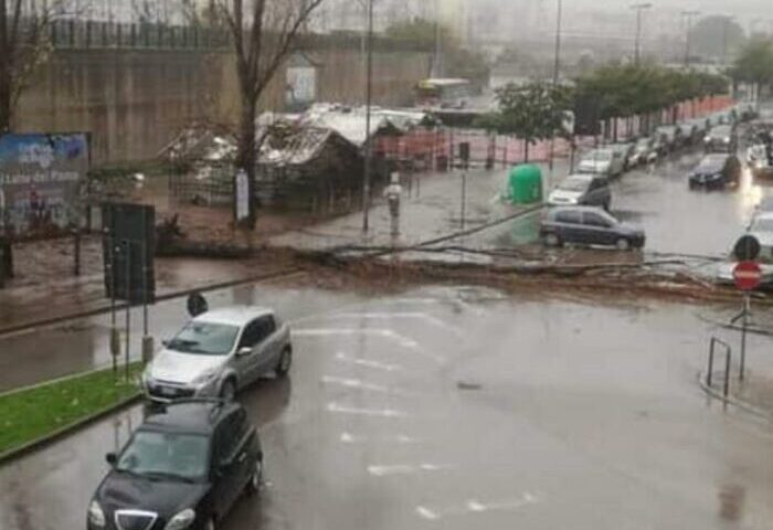 Crollo in via Vinciprova, il Comune di Salerno abbatte gli alberi