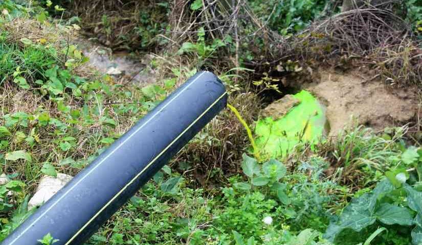 Eboli, danni all’Ambiente: nei guai titolare di azienda zootecnica