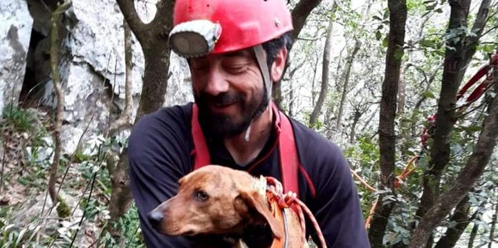 A Morigerati cane finisce in un dirupo e viene salvato