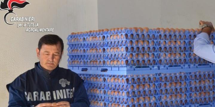 Aderiscono alliniziativa solidarietà del Comune in era covid ma non fanno sconti truffando lo stato per 25mila euro, nei guai due titolari di supermercato nel Salernitano