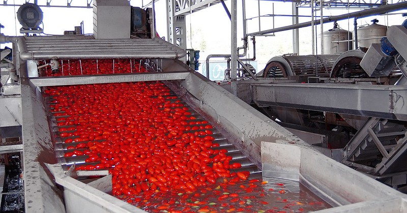 Pomodoro, scontro con la Puglia: l’Anicav precisa