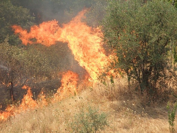 Provocò incendio boschivo ad agosto, arrestato piromane di Giungano